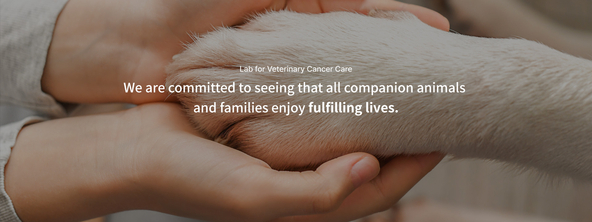 영문 메인배너4