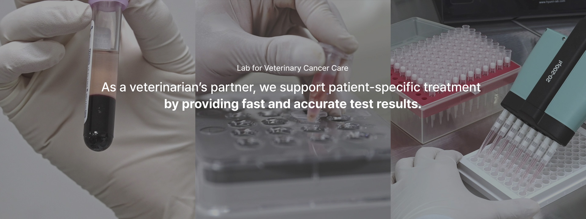 영문 메인배너3