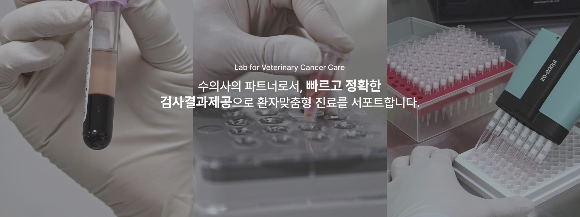 국문 메인배너3