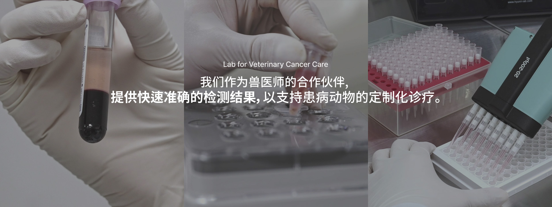 중문 메인배너3