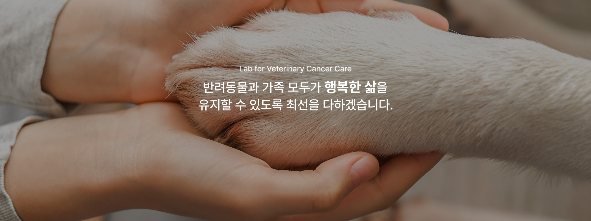 국문 메인배너4