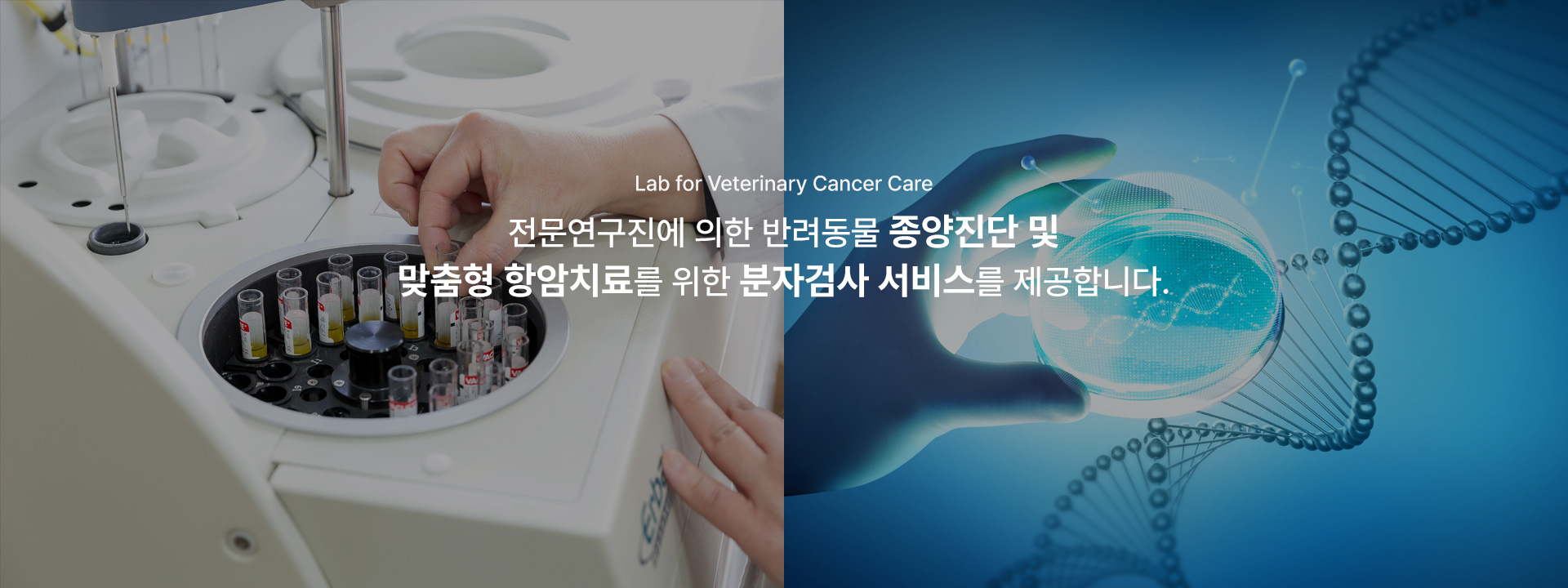 국문 메인배너1