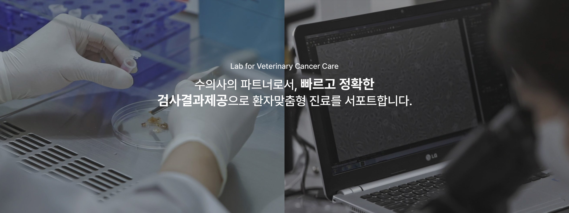 국문 메인배너2