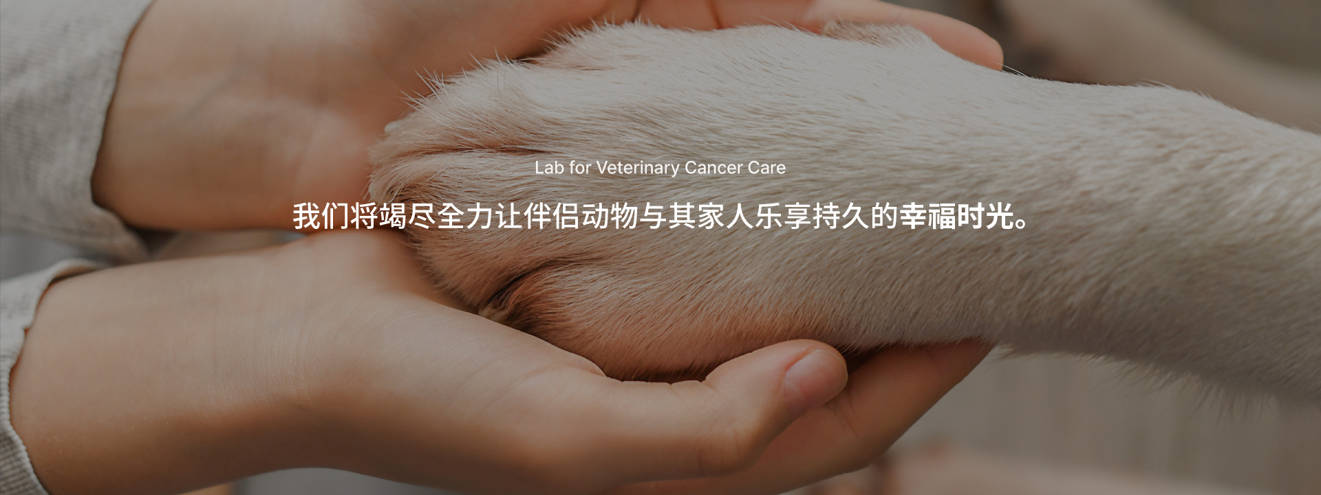 중문 메인배너4