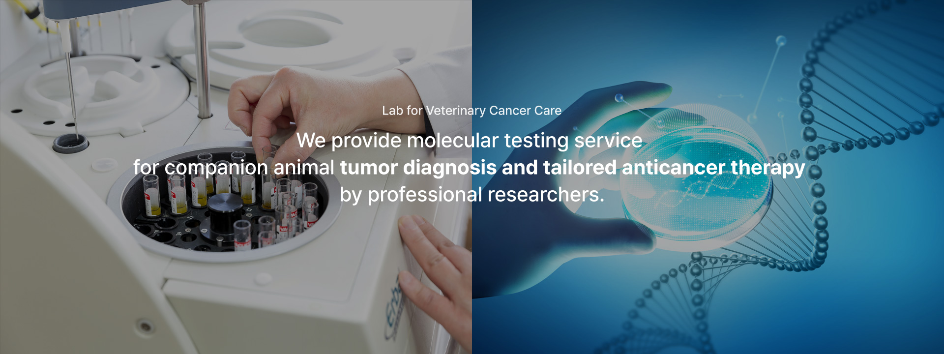 영문 배인배너1