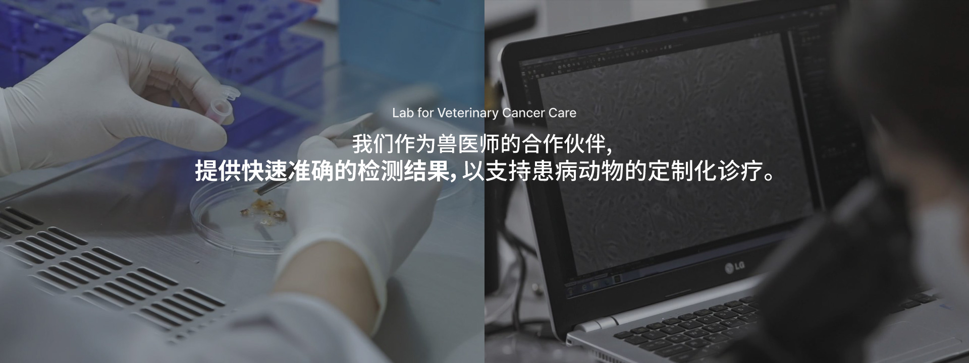 중문 메인배너2