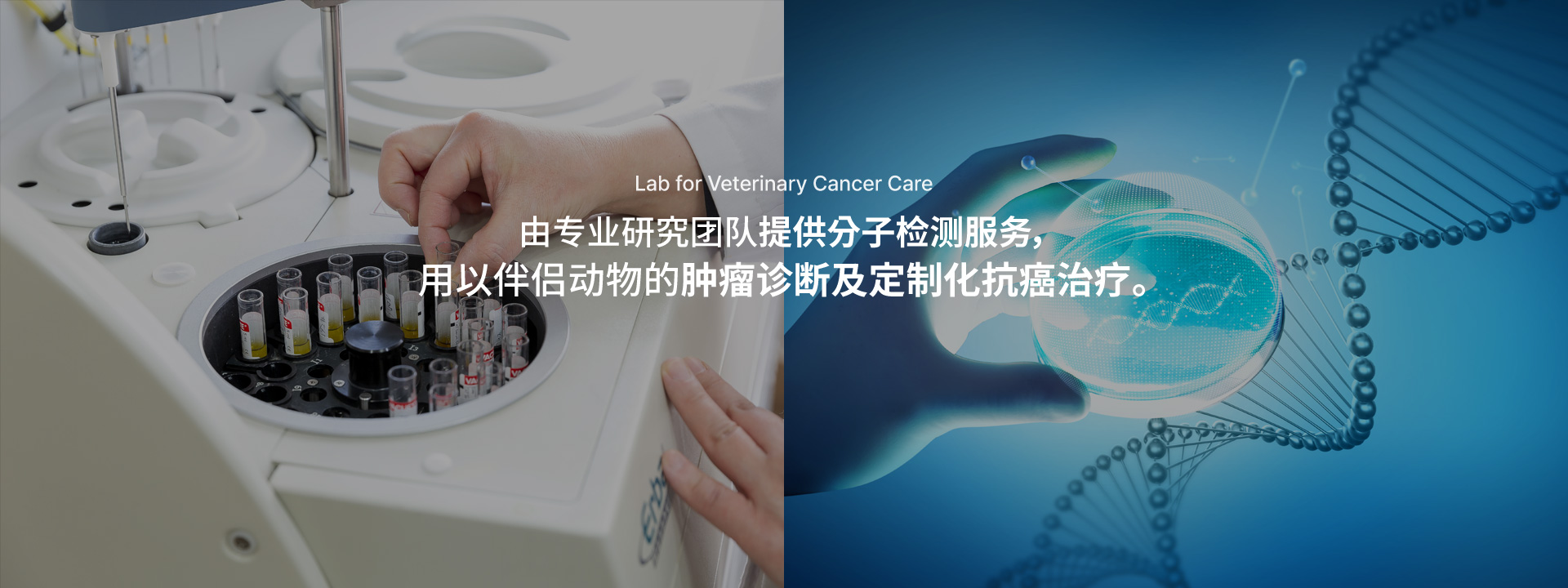 중문 메인배너1