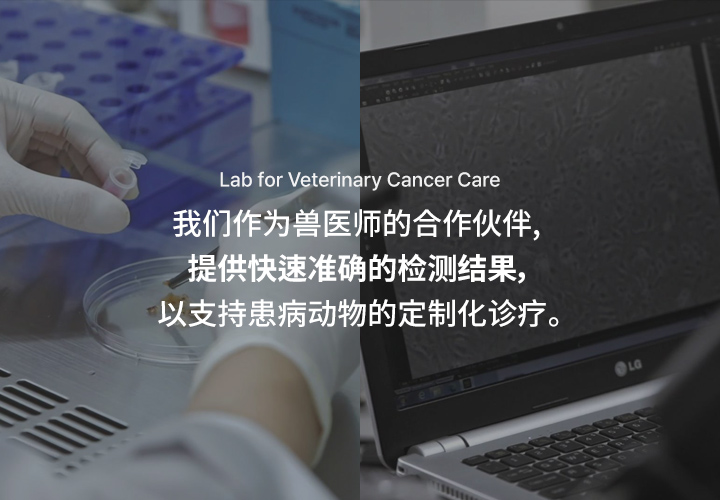 중문 메인배너2