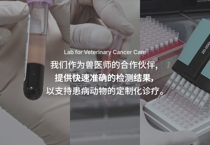 중문 메인배너3