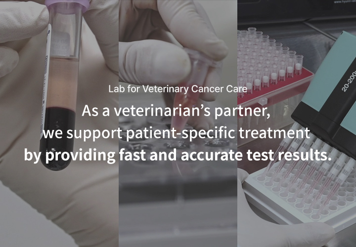 영문 메인배너3