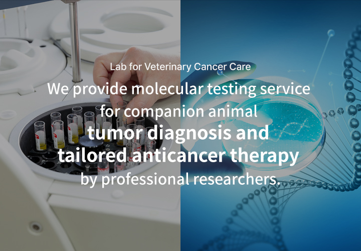 영문 배인배너1