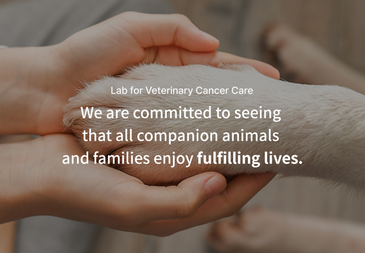 영문 메인배너4