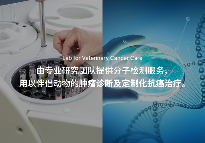 중문 메인배너1