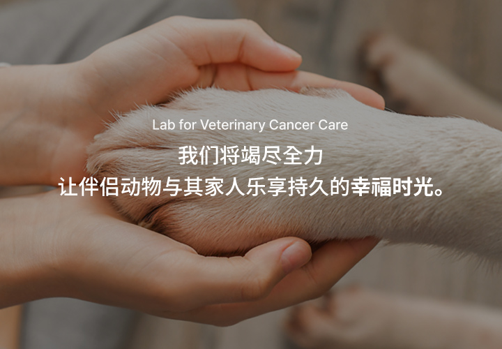 중문 메인배너4